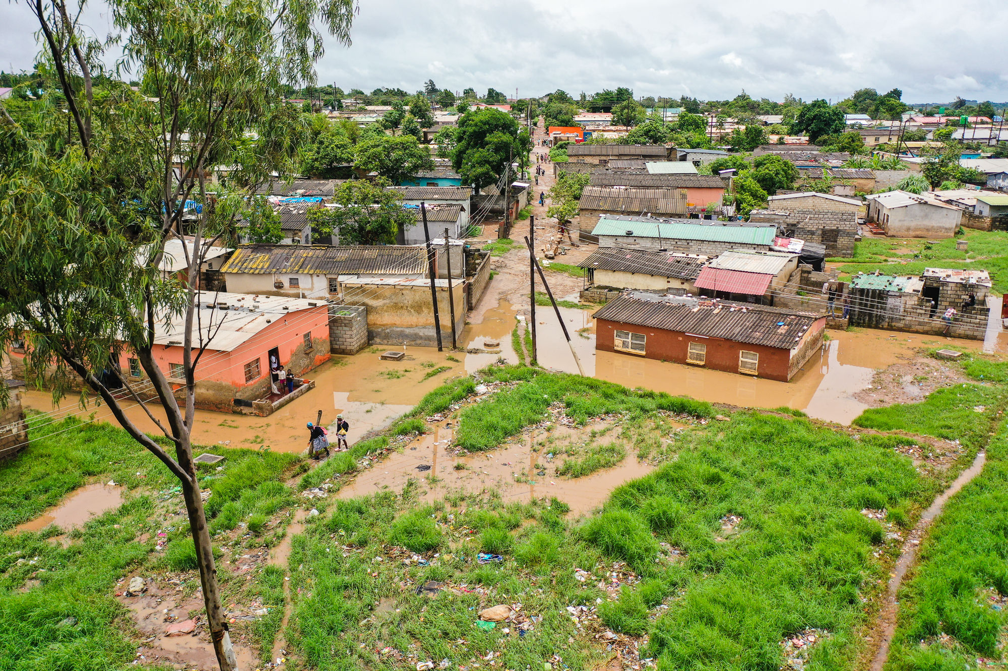 CURP research team in the field